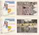 BUVARD & BLOTTER - Collection Complète Des 24 Buvards Flan Lyonnais - Série B - Châteaux De La Loire - Autres & Non Classés