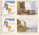 Delcampe - BUVARD & BLOTTER - Collection Complète Des 24 Buvards Flan Lyonnais - Série B - Châteaux De La Loire - Autres & Non Classés