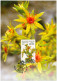 CM 524 - 525 Slovakia Low Tatra Flora 2012 - Other & Unclassified