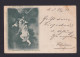 1898 - 6 Pf. Stadtpost-Bild-Ganzsache "Der Raub Des Ganymed" (Adler Raubt Ganymed" - Gebraucht - Águilas & Aves De Presa