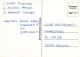 LEÓN GATO GRANDE Animales Vintage Tarjeta Postal CPSM #PAM007.A - Leeuwen