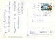 CABALLO Animales Vintage Tarjeta Postal CPSM #PBR865.A - Pferde