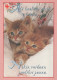 GATTO KITTY Animale Vintage Cartolina CPSM #PBQ920.A - Cats