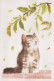 KATZE MIEZEKATZE Tier Vintage Ansichtskarte Postkarte CPSM #PBQ752.A - Cats