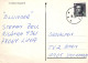 MONKEY Vintage Postcard CPSMPF #PKG942.GB - Monkeys