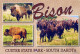 COW Animals Vintage Postcard CPSM #PBR835.GB - Mucche