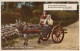 BURRO Animales Vintage Antiguo CPA Tarjeta Postal #PAA200.ES - Donkeys