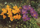 FLOWERS Vintage Ansichtskarte Postkarte CPSM #PAR464.DE - Blumen