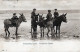 ÂNE Animaux Enfants Vintage Antique CPA Carte Postale #PAA019.FR - Donkeys