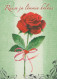 FLEURS Vintage Carte Postale CPSM #PBZ651.FR - Blumen