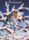 OISEAU Animaux Vintage Carte Postale CPSM #PBR520.FR - Birds