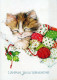 GATTO KITTY Animale Vintage Cartolina CPSM #PAM581.IT - Cats