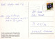 AFFE Tier Vintage Ansichtskarte Postkarte CPSM #PBR992.DE - Scimmie