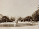 PHOTO SNAPSHOT 1930 Cannes Les Jardins De Cannes, Statut Monument Palmiers. - Lugares