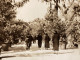 PHOTO SNAPSHOT 1930 Cannes L’esplanade Femme Qui Marche En Noir De Dos Palmiers, Garçon En Trottinette. - Lugares