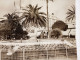 PHOTO SNAPSHOT 1930 Cannes La Baigneuse Hôtel, Bâtiment Palmier, Grand Hôtel Derrière La Baigneuse. - Lugares