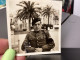 PHOTO SNAPSHOT 1930 Cannes Homme Militaire Avec Brassard Noir, Assis à Un Bar Restaurant Derrière Hôtel Palmiers - Personas Anónimos
