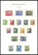 SAMMLUNGEN O,, , 1933-45, Bis Auf Block 2 Und 3 In Den Hauptnummern Komplette Sammlung Im Neuwertigen Leuchtturm Falzlos - Autres & Non Classés