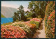 Como Tremezzo Lago Di Como Villa Carlotta Foto FG Cartolina KB3497 - Como