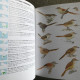 Collins Field Guide To The Birds Of South America: Passerines: From Sapayoa To Finches 2015 - Vita Selvaggia