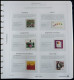 SAMMLUNGEN , Komplette Postfrische Sammlung Bundesrepublik Von 1996-2000 Auf Falzlosseiten Im Deutschland Klassik-Ringbi - Sonstige & Ohne Zuordnung