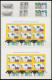 SAMMLUNGEN ,o , In Den Hauptnummern Recht Komplette Sammlung Bundesrepublik Von 1970-91, Jeweils Postfrisch Und Gestempe - Sonstige & Ohne Zuordnung