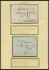 Delcampe - SAMMLUNGEN 1792-1860, Interessante Sammlung Von 23 Verschiedenen Belegen, Sauber Beschriftet Im Album - Collections