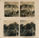 12 STEREOSCOPISCHE KAARTEN   FOTO  PHOTO -  BAYREN  HOCHLAND         VOIR SCANS - Stereoscope Cards