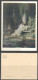 Russia. Ivan Kramskoi - Russian Painter.   Moonlight Night (1880). Vintage Art Postcard - Malerei & Gemälde