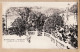 00841 ● Sans éditeur MONTE-CARLO Terrasse Jardins Vue MONACO 1890s Etat PARFAIT République Française - Monte-Carlo