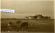 CPA -  CAMBER CASTLE (CARTE-PHOTO) - Other & Unclassified