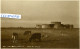 CPA -  CAMBER CASTLE (CARTE-PHOTO) - Autres & Non Classés