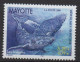 Delcampe - Mayotte  Timbres Divers - Various Stamps -Verschillende Postzegels XXX - Ungebraucht