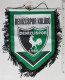 69692 Calcio - GAGLIARDETTO Denizlispor Kulubu 1966 - Turchia - Abbigliamento, Souvenirs & Varie