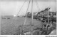 ADSP11-50-1024 - SAINT-VAAST-LA-HOUGUE - Le Port - Saint Vaast La Hougue