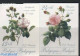 Belgium 1989 Philatelic Promotion, Roses 2v, Imperforated, Mint NH, Nature - Flowers & Plants - Roses - Ongebruikt