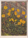 Zeltner Künstlerkarte - 87 Gemeines Sonnenröschen - Gelaufen 1935 Ab Bern - Flowers