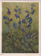 Zeltner Künstlerkarte - 82 Echter Eisenhut - Gelaufen 1943 Ab Neuchâtel - Flowers