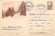 Postal Stationery Postcard Romania Mountain Landscape Trees - Rumania