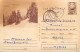 Postal Stationery Postcard Romania Mountain Landscape Trees 1966 - Rumania