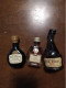 Lot De 10  ** Mignonettes Armagnac  ** SAINT VIVANT  DUCASTING  SAINT VIVANT  HENNESSY 2 OTARD  HINE MARTELL COURVOISIER - Mignonnettes