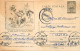 Postal Stationery Postcard Romania Ceaiuri Si Plante Medicinale - Romania