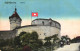 SHAFFHOUSE, SCHAFFHAUSEN, CASTLE, TOWER, FLAG, SWITZERLAND, POSTCARD - Zofingen