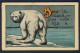 Polar Bear On Snow - White Bear - Bear In Mind You Owe Me A Letter - 1912 - Ours