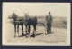 HOMESTEADING CANADA - Man & Two Moose, Cart Sulky?? Velox 1923-1939 - RPPC - Landbouw