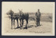 HOMESTEADING CANADA - Man & Two Moose, Cart Sulky?? Velox 1923-1939 - RPPC - Culture
