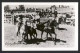 Calgary Stampede / Rodeo - Calgary Alberta Canada - RPPC CKC 1910-1962 Progress Studio - Exhibitions