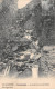 38-SASSENAGE CASCADE LA GORGE DES GRANDS GOULETS-N°T5051-D/0355 - Sassenage