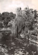 44-CLISSON LE CHATEAU-N°4243-B/0351 - Clisson