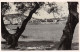 66-PORT VENDRES-N°T5053-C/0049 - Port Vendres